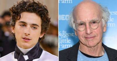 ‘The crossover I’ve been waiting for’: Timothée Chalamet and Larry David have lunch together and fans love it - www.msn.com - New York
