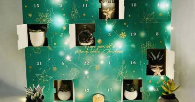 Here is the World's First PLANT Advent Calendar for 2021 - www.manchestereveningnews.co.uk - Britain