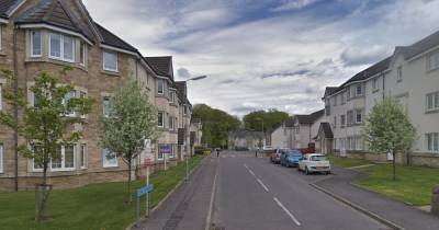 Car torched on quiet residential street near Falkirk as cops hunt yobs responsible - www.dailyrecord.co.uk