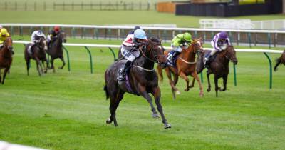 Ayr Gold Cup tips as Just Frank can make a bold bid for glory - www.dailyrecord.co.uk