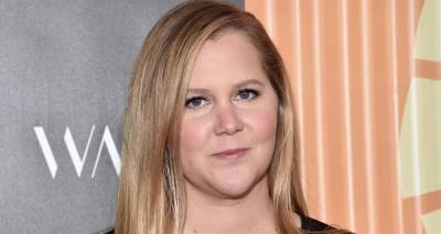 Amy Schumer Reveals She Had Her Uterus & Appendix Removed Due to Endometriosis - www.justjared.com