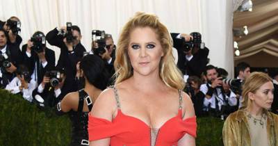 Amy Schumer Has Her Uterus And Appendix Removed Due To Endometriosis - www.msn.com