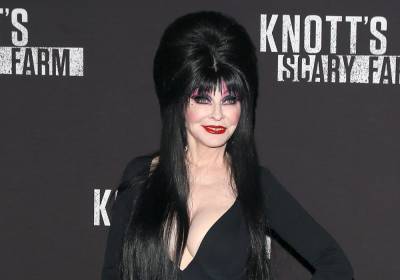Cassandra ‘Elvira, Mistress Of The Dark’ Peterson Comes Out, Reveals 19-Year Relationship - etcanada.com - Hollywood