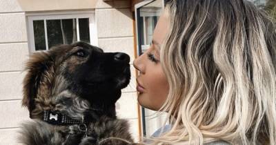 Olivia Attwood and fiancé Bradley Dack get matching tattoos for dog Lola - www.ok.co.uk