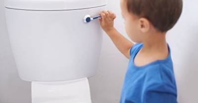 Mum hailed 'genius' over Amazon Alexa trick helping her potty train toddler - www.dailyrecord.co.uk