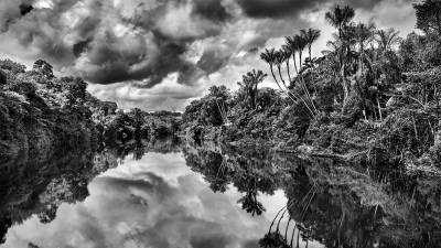 Influential Photographer Sebastião Salgado on Capturing the Majestic Rainforest for His New Exhibit ‘Amazonia’ - variety.com - Brazil