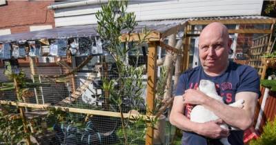 Cat lovers may have to tear down their enormous 'catio' after neighbour complaint - www.manchestereveningnews.co.uk - county Marshall
