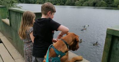 The best parks to take kids and dogs in Greater Manchester - www.manchestereveningnews.co.uk - Manchester