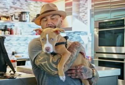 Dave Bautista Adopts ‘Horribly Abused’ Puppy, Offers $5K Reward For Information On Dog’s ‘Sick Piece Of S**t’ Abuser - etcanada.com