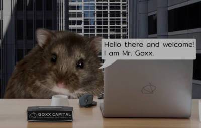 Cryptohamster Mr. Goxx is a wheeling and dealing investor - www.nme.com