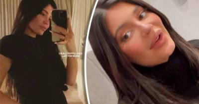 Pregnant Kylie Jenner raves about her 'clean and vegan' baby line - www.msn.com