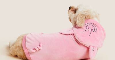 You can now buy a Percy Pig costume for your dog and it's so adorable - www.ok.co.uk - Britain