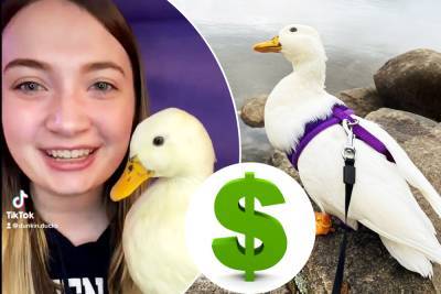 Viral TikTok superstar Dunkin Ducks earns $4,500 a month - nypost.com