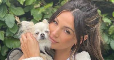 Michelle Keegan and her dogs wear matching autumn coats and fans can't deal with the cuteness - www.manchestereveningnews.co.uk