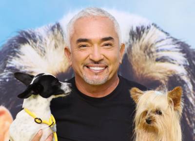Cesar Millan Denies Gymnast’s Claims That His Dog Attacked Her, Killed Queen Latifah’s Dog - etcanada.com