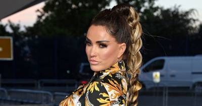 Katie Price pleads guilty to drink driving whilst disqualified after car crash - www.ok.co.uk - county Sussex