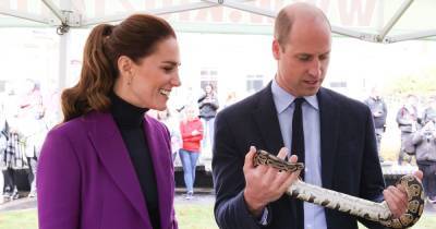 Prince William holds snake and tells Kate 'the children are not going to believe this' on zoo visit - www.ok.co.uk - Ireland