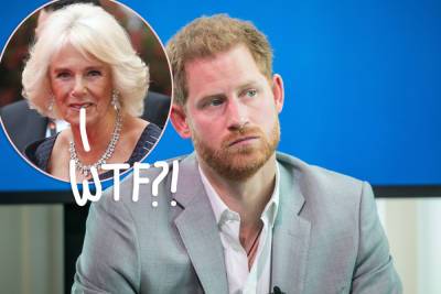 Prince Harry Will Reportedly Go After Camilla Parker Bowles AND Unmask ‘Royal Racist’ In New Book! - perezhilton.com