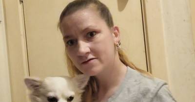 Autistic Scots woman 'humiliated' after Greggs made her leave shop over assistance chihuahua - www.dailyrecord.co.uk - Scotland