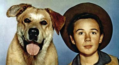Tommy Kirk Dies: Child Star Of ‘Old Yeller’, ‘The Shaggy Dog’ Was 79 - deadline.com