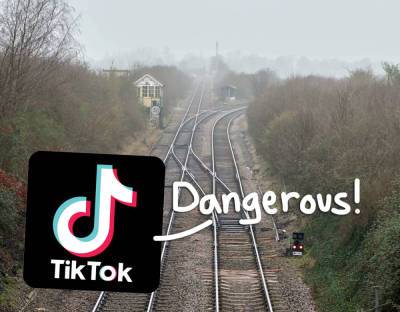 Video Shows 'Hero' Rescuing Dog From Train Tracks At Last Possible Second -- So Why Was It Removed From TikTok?? - perezhilton.com - Australia