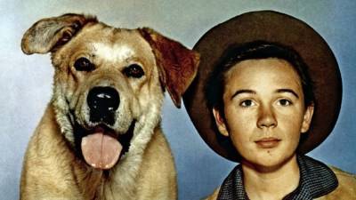 Tommy Kirk, 'Old Yeller' and 'The Shaggy Dog' Actor, Dead at 79 - www.etonline.com - Las Vegas