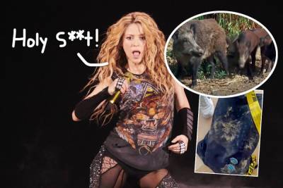 OMG! Shakira & 8-Year-Old Son Were Attacked By Wild Boars In Spain!! - perezhilton.com - Spain