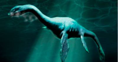 Loch Ness Monster 'spotted on sonar' as images capture underwater creature - www.dailyrecord.co.uk