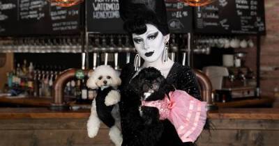 Pet owners encouraged to 'drag up their pooches' for Salford dog fashion show - www.manchestereveningnews.co.uk - Manchester