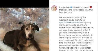 Tori Spelling heartbroken after dog dies - www.msn.com