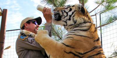 'Tiger King' Zookeeper Erik Cowie Found Dead at 53 - www.justjared.com