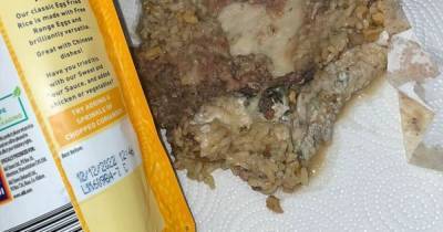 Scots family's disgust after discovering Aldi egg fried rice covered in scales and mould - www.dailyrecord.co.uk - Scotland