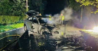 Man, 29, taken to hospital after car crashes into tree - www.manchestereveningnews.co.uk - Manchester - county Cheshire