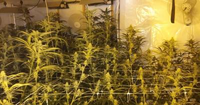 Police uncover large cannabis farm at property in Oldham - www.manchestereveningnews.co.uk - Manchester - county Oldham