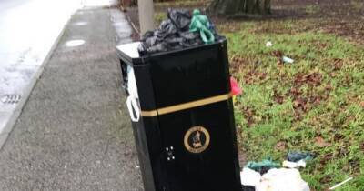 Grangemouth residents 'disgusted' as street bins overflow with rubbish and dog poo - www.dailyrecord.co.uk