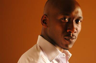 Onyx Orders ‘The Plot’ Limited Series Starring Mahershala Ali From Endeavor Content - deadline.com
