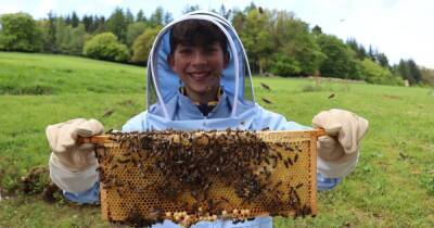 Balloch teenager buzzing to appear on TV's first ever beekeeping challenge - www.dailyrecord.co.uk - Britain