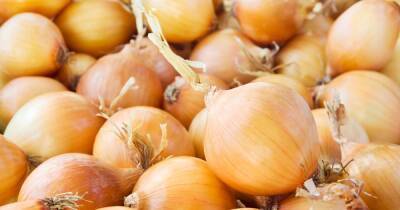 Waitrose to stock the UK's first 'tearless' onions from next month - www.dailyrecord.co.uk - Britain - Scotland - USA - Germany - county Atlantic - Beyond