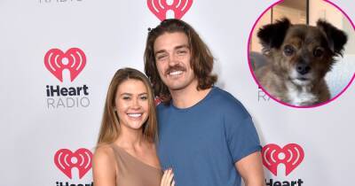 BiP’s Caelynn Miller-Keyes and BF Dean Unglert Welcome New Rescue Puppy After Death of Dog Pappy - www.usmagazine.com - Virginia