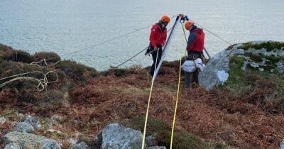 Trapped sheep saved from cliff edge after becoming stuck near Scots beach - dailyrecord.co.uk - Scotland