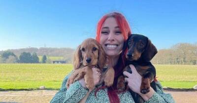 Joe Swash - Stacey Solomon - Stacey Solomon shares emotional meaning behind her new rescue puppy's name - ok.co.uk - county Hampshire