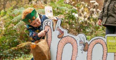 Superworm trail coming to Delamere Forest in time for February half term - manchestereveningnews.co.uk - county Forest
