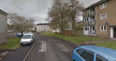 Huge East Kilbride brawl leaves teenage girl in hospital with serious injuries - dailyrecord.co.uk - Scotland