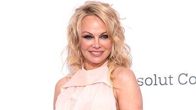 Pamela Anderson - Star Is Born - Christmas Eve - Jon Peters - Tommy Lee - Rick Salomon - Brandon Lee - Dan Hayhurst - Pamela Anderson Husband Dan Hayhurst Divorcing: Couple Splits After 1 Year Of Marriage - hollywoodlife.com - Canada - county Rock - city Vancouver, county Island
