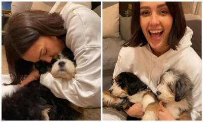 Jessica Alba - Jessica Alba shares adorable video of her kids playing with puppies - us.hola.com - county Hayes