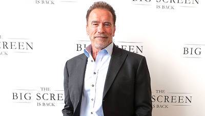 Arnold Schwarzenegger - Arnold Schwarzenegger Involved In Scary Car Crash Near Home, Injuring Other Driver — Photos - hollywoodlife.com - California