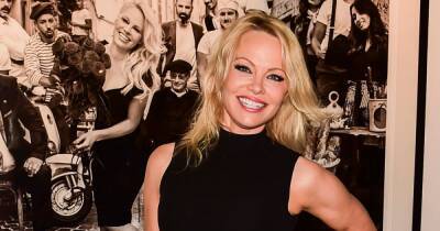 Pamela Anderson - Dan Hayhurst - Inside Pamela Anderson's dating history as she 'files for divorce from her fifth husband' - ok.co.uk - Hollywood - city Sanctuary