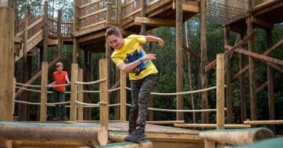 Woodland adventure park BeWILDerwood reopening with a new towering play frame - manchestereveningnews.co.uk - Manchester