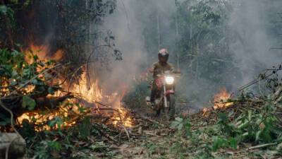 Darren Aronofsky - Guy Lodge - National Geographic Buys Environmental Docu-Thriller ‘The Territory’ Following Sundance Film Festival Premiere - variety.com - Brazil