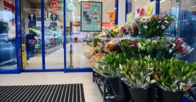 Lidl and B&Q have accidentally been selling plants worth £4,000 for £10 - www.manchestereveningnews.co.uk - Switzerland